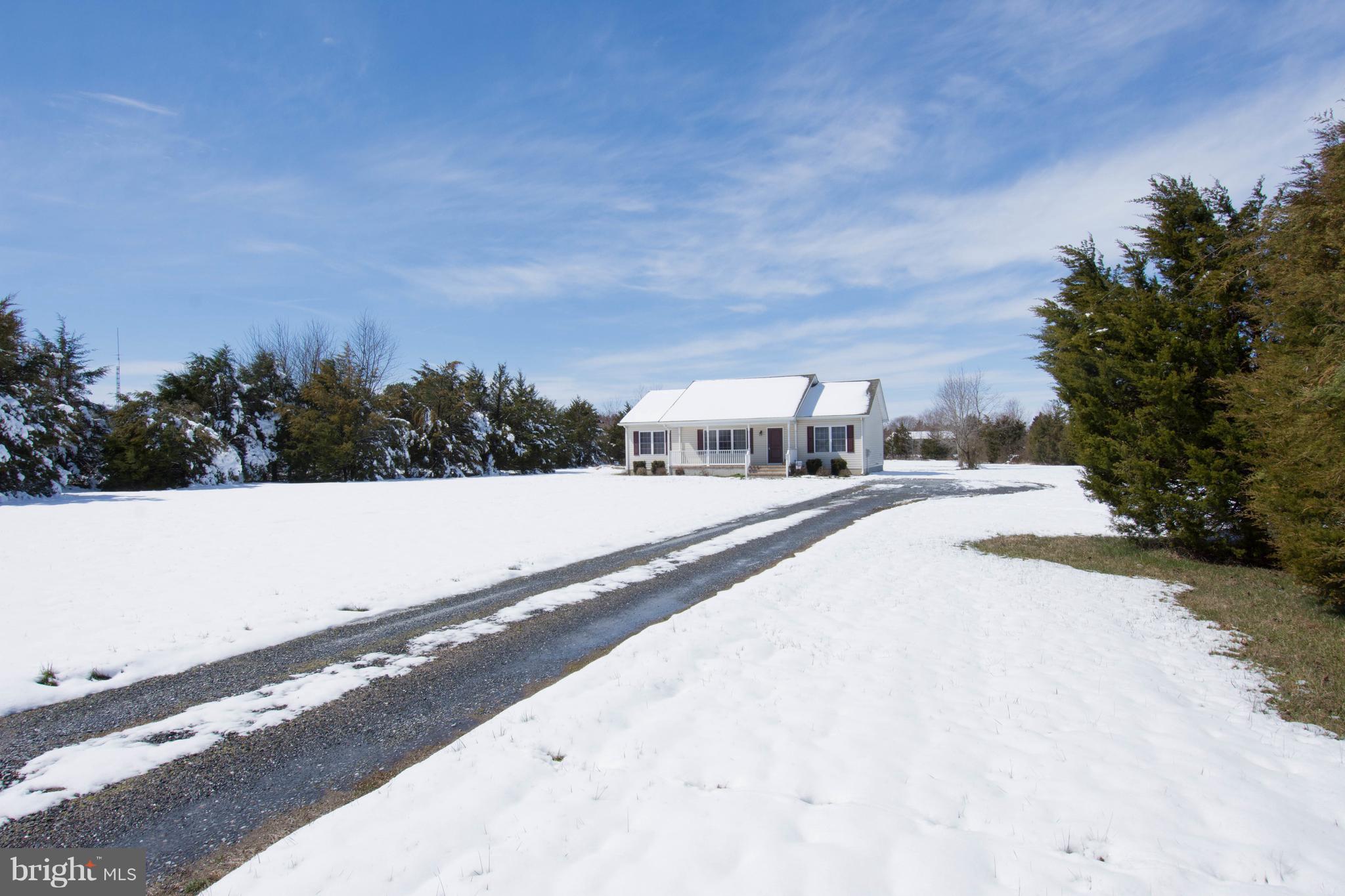 LUCKY SHOE RANCHETTES - Residential