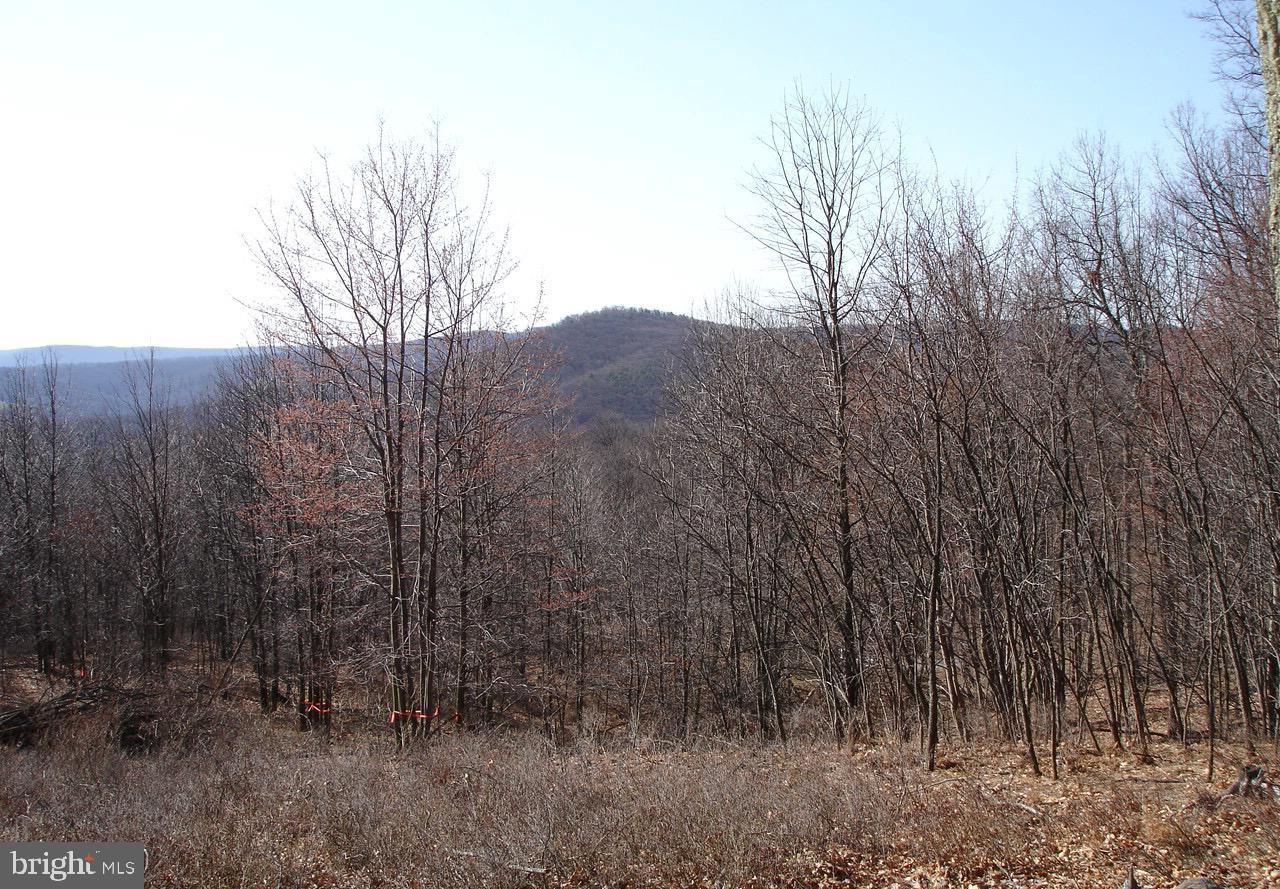 TROUT PASS PARK SUBDIVISION - Land