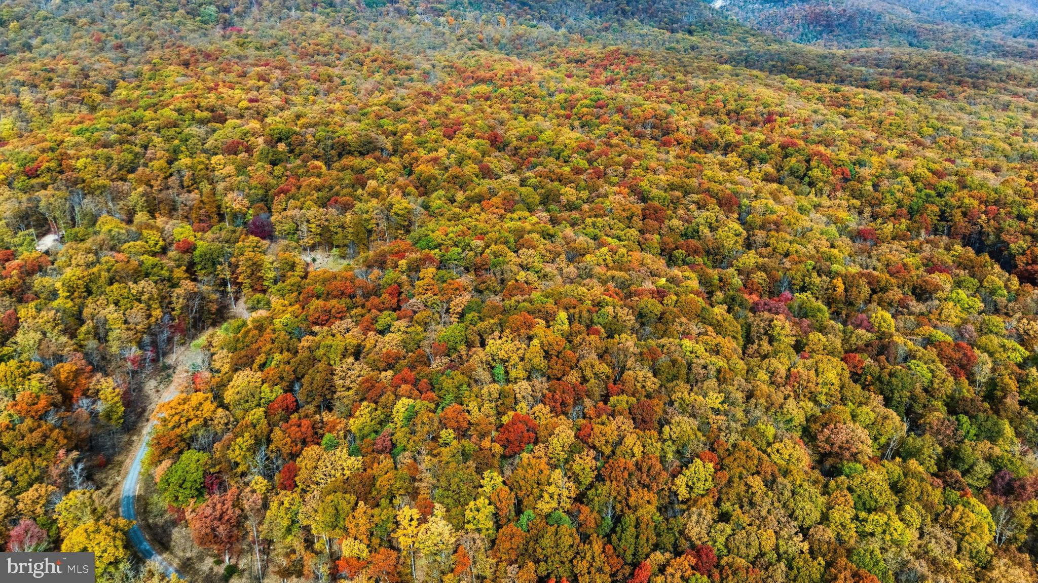 TROUT PASS PARK SUBDIVISION - Land