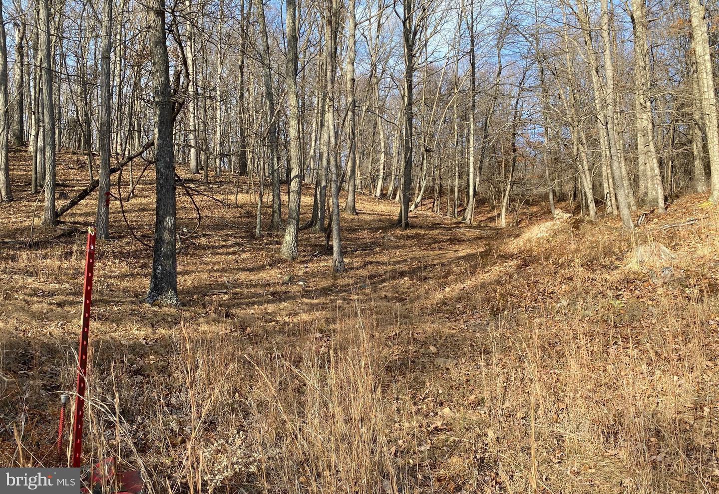 TROUT PASS PARK SUBDIVISION - Land