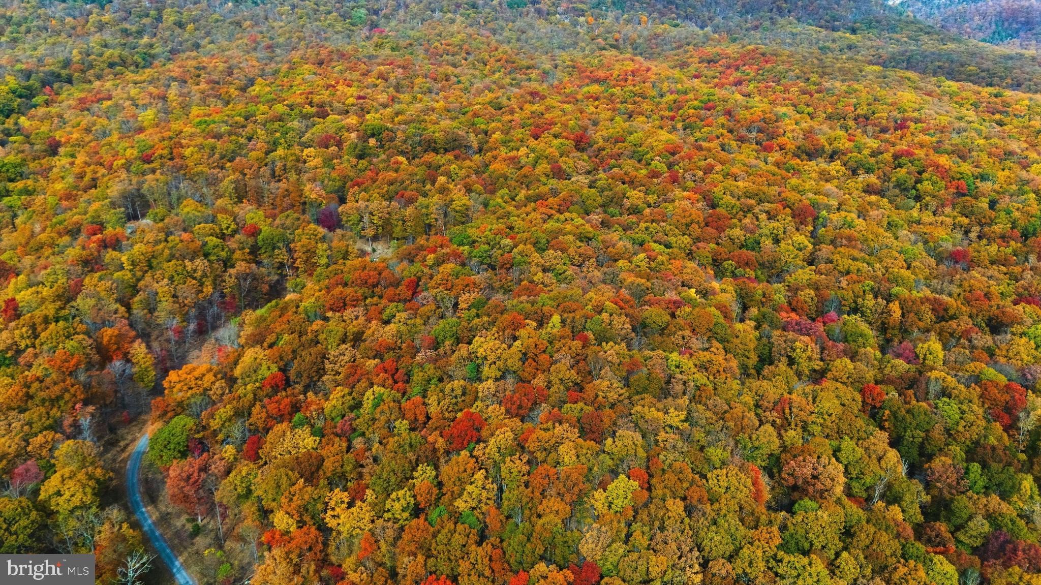 TROUT PASS PARK SUBDIVISION - Land