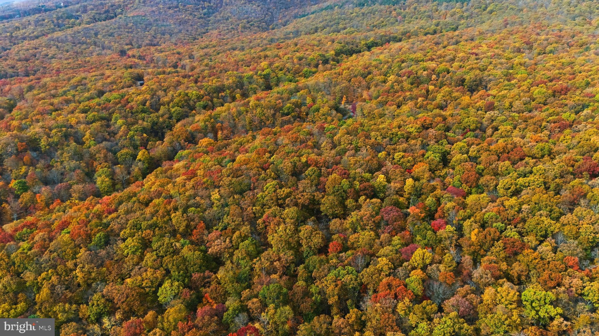 TROUT PASS PARK SUBDIVISION - Land