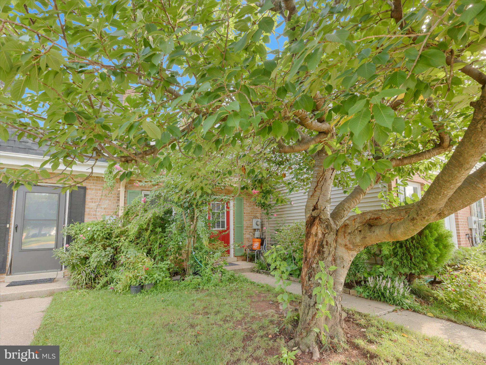 1139 PROVIDENCE COURT