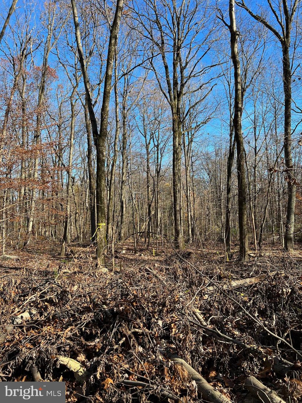 Photo of 0 TWIN COUNTY RD, MORGANTOWN, PA 19543 (MLS # PALA2027672)