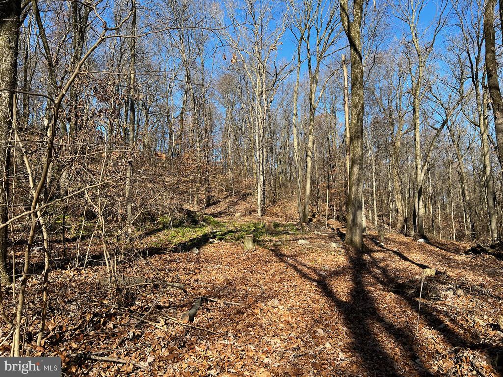 Photo of 0 TWIN COUNTY RD, MORGANTOWN, PA 19543 (MLS # PALA2027672)