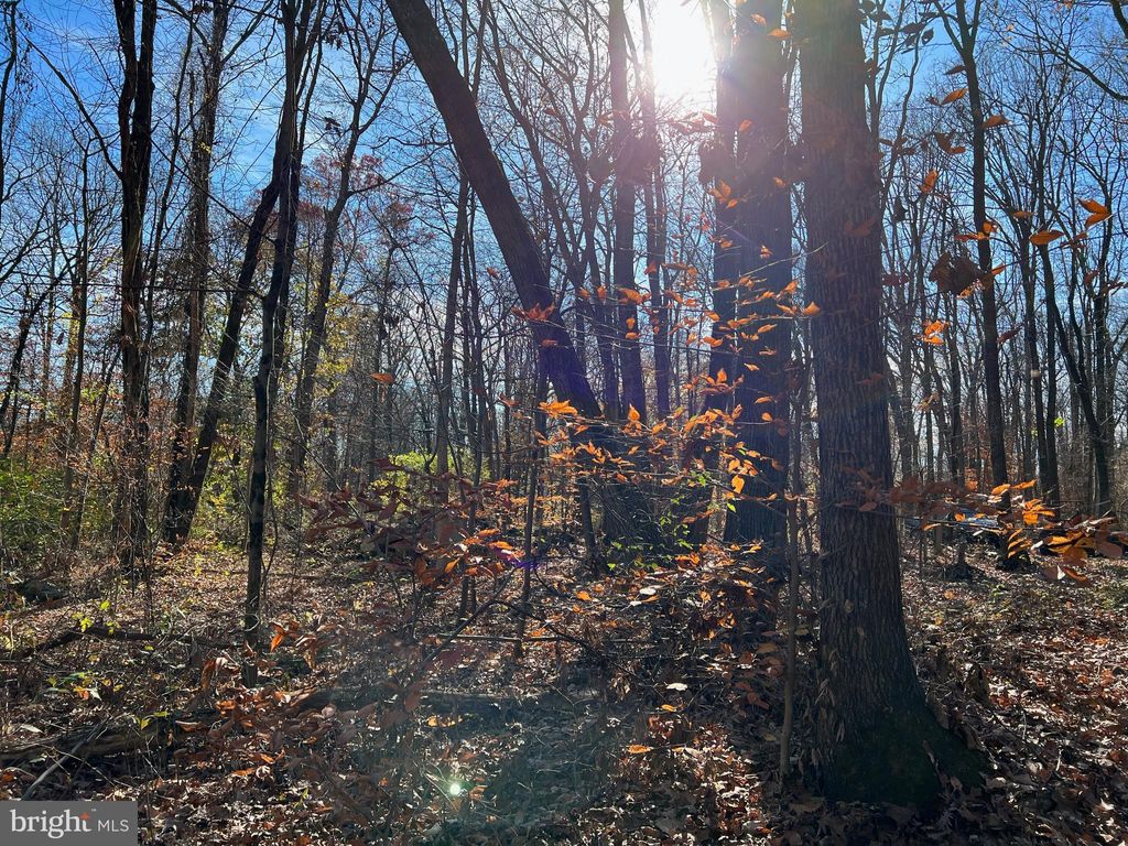 Photo of 0 TWIN COUNTY RD, MORGANTOWN, PA 19543 (MLS # PALA2027672)