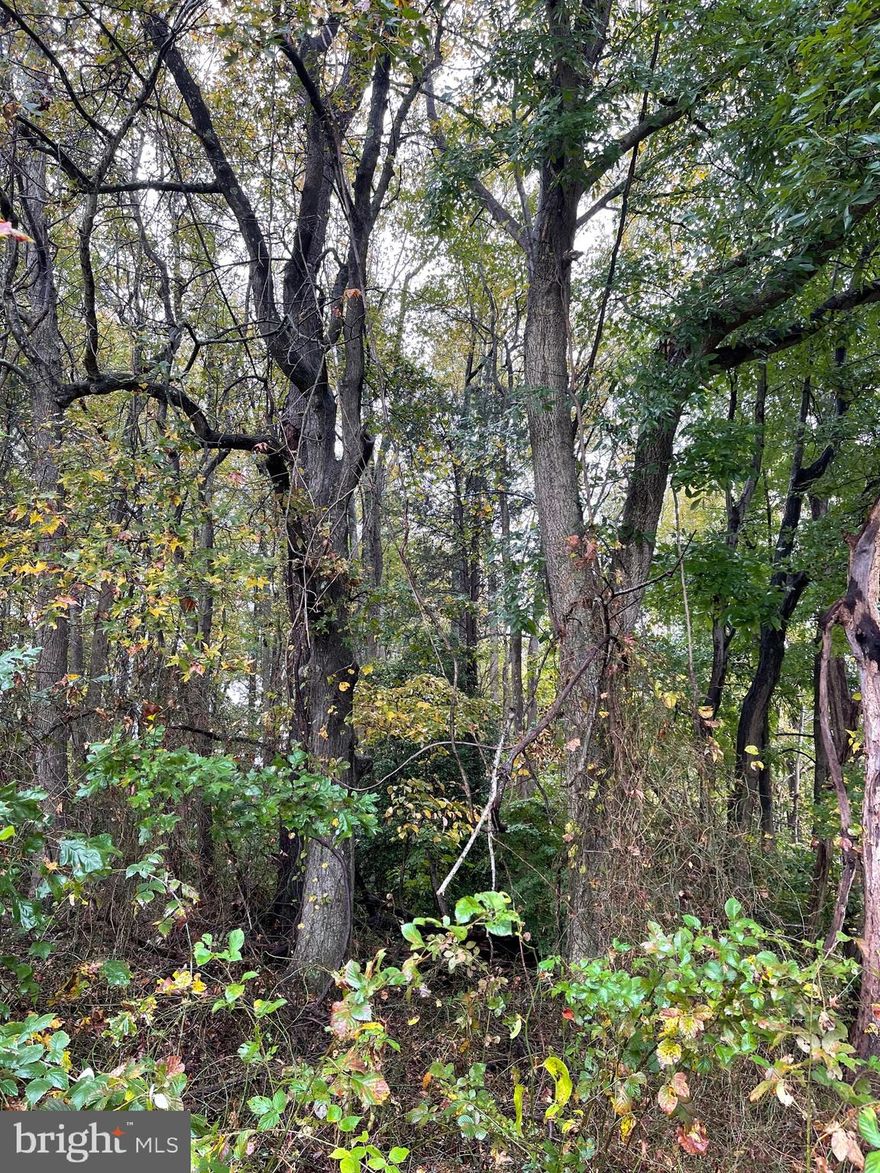 Nice wooded 1 acre level building lot.  Ideal homesite at the back of the lot with beautiful hardwoods. Easy access to restaurants, shopping and NSWC. Just across the Potomac River bridge. Preliminary soil work letter shows 3 bedroom conventional site.
Farm view to the back.