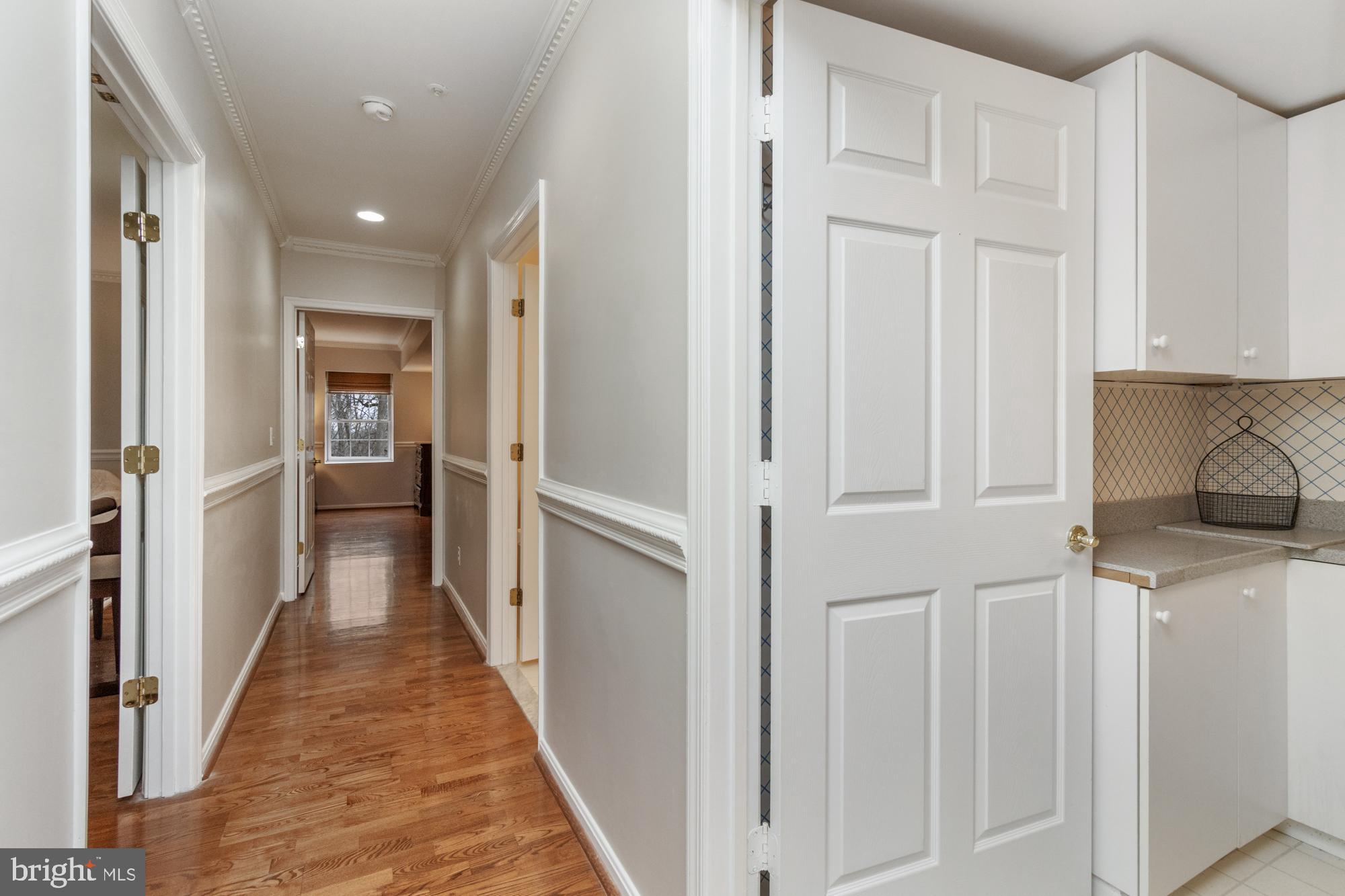 BELMONT FOREST - Residential