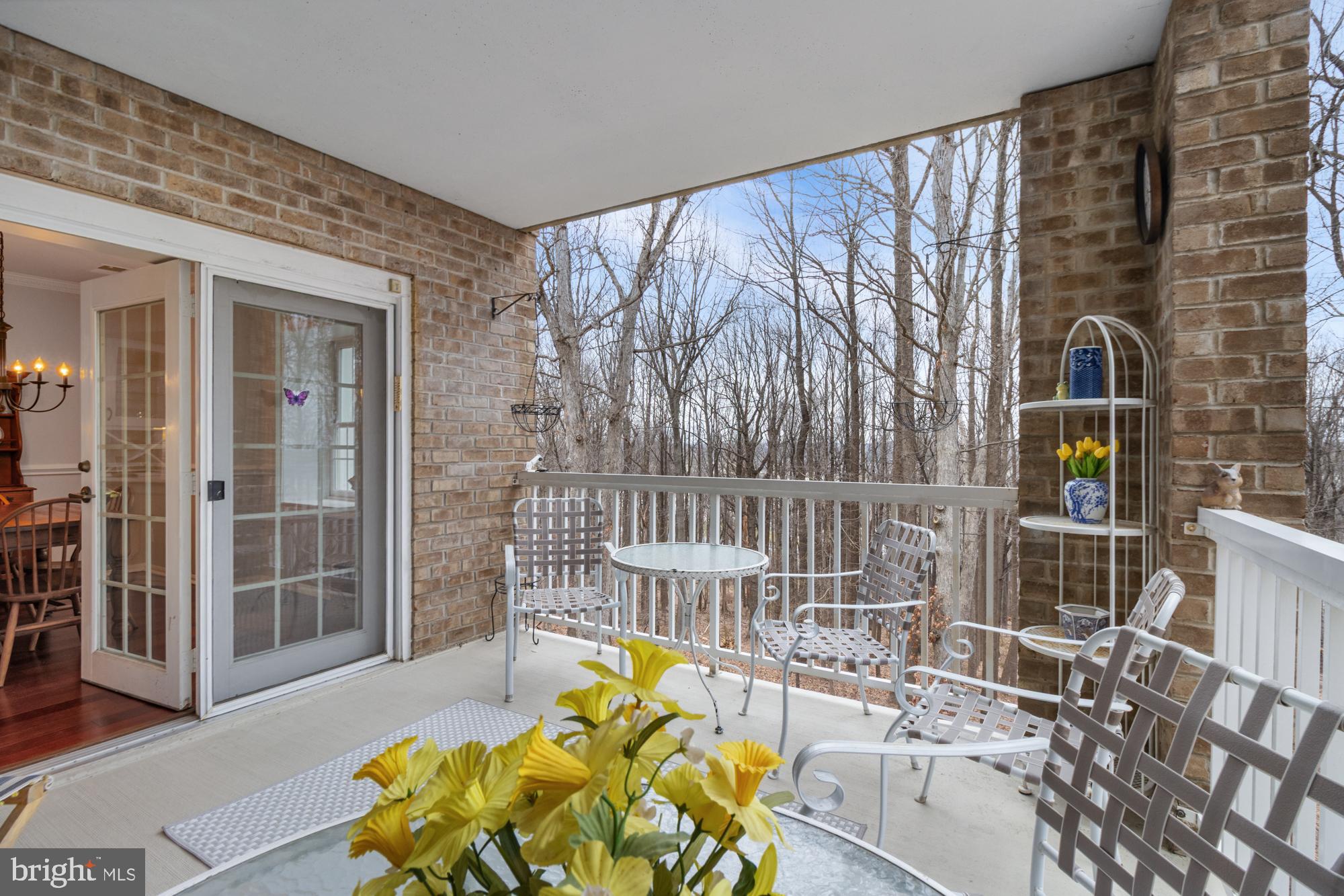 BELMONT FOREST - Residential