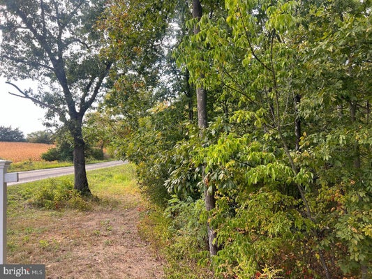 171 COVEY LN, WINCHESTER, VA 22602 - Image fcd7203e960a1708ea0d20bb882a3134/3710157877