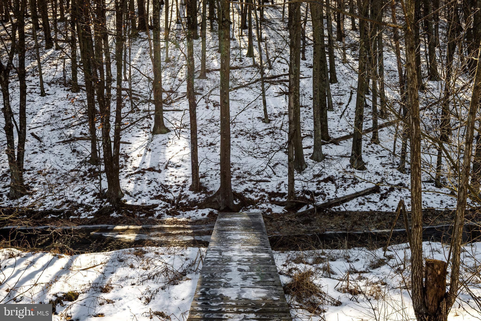 20 ACRE WOODS - Farm