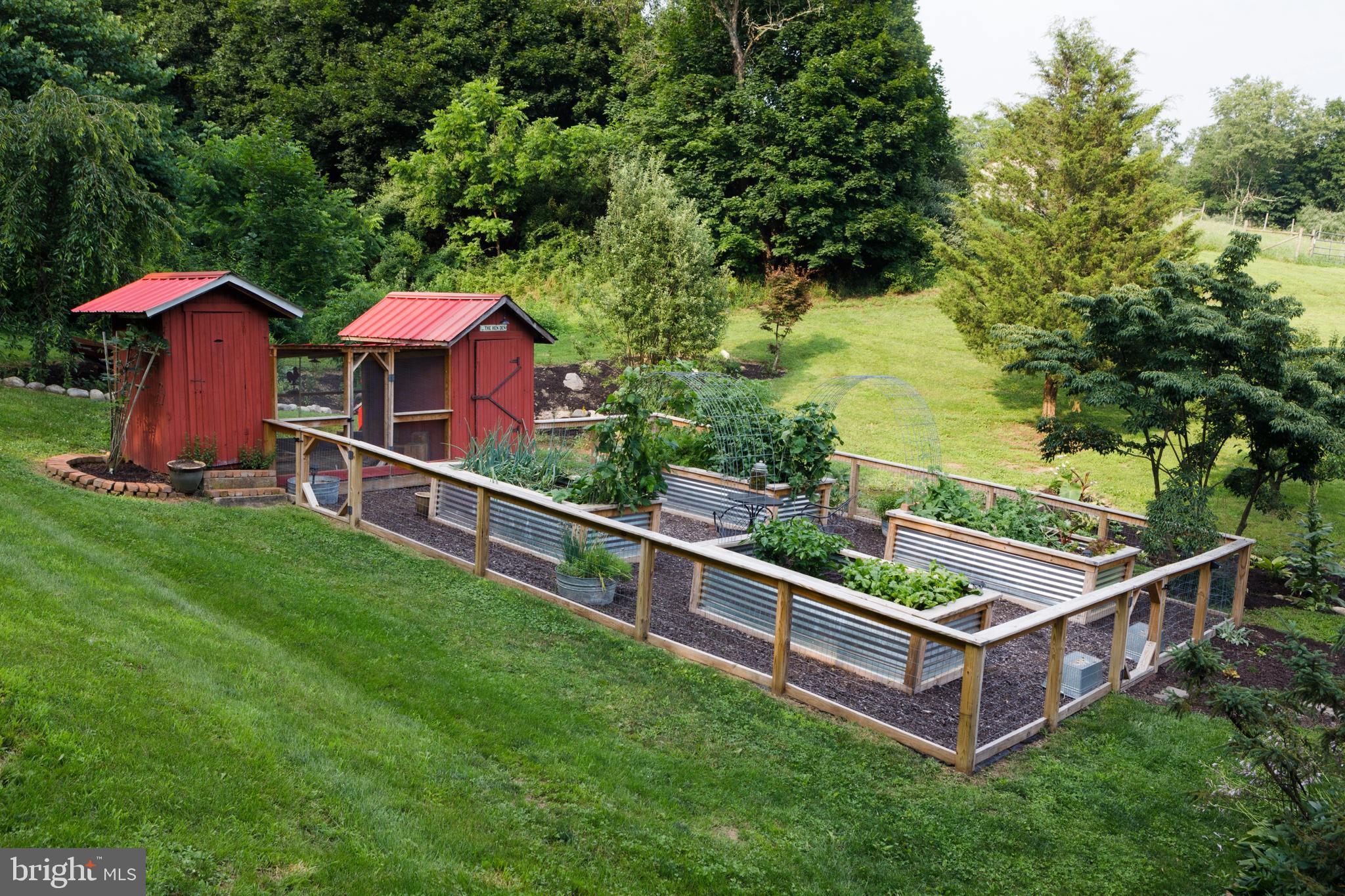 20 ACRE WOODS - Farm