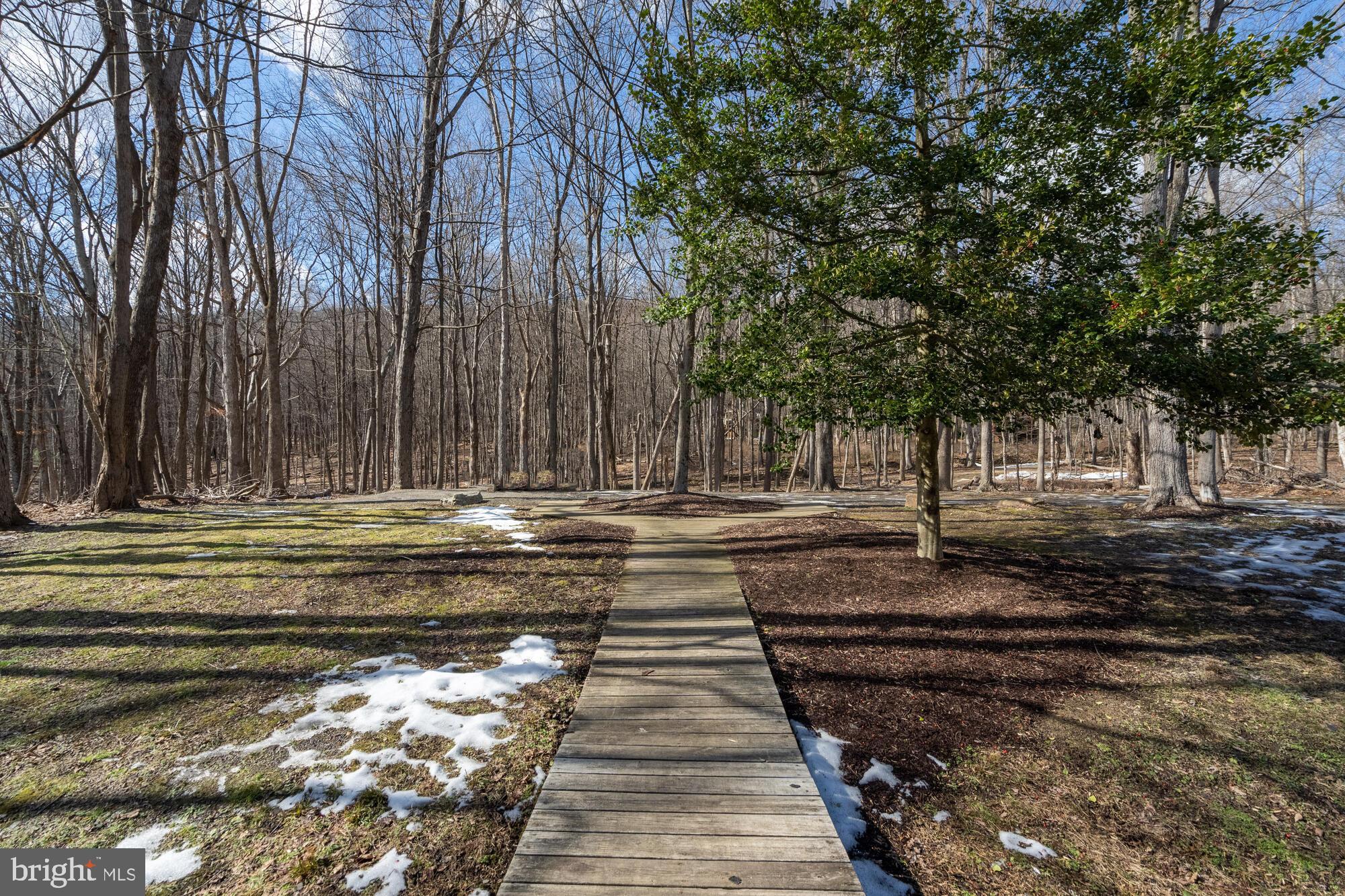 COOLFONT MOUNTAINSIDE - Residential