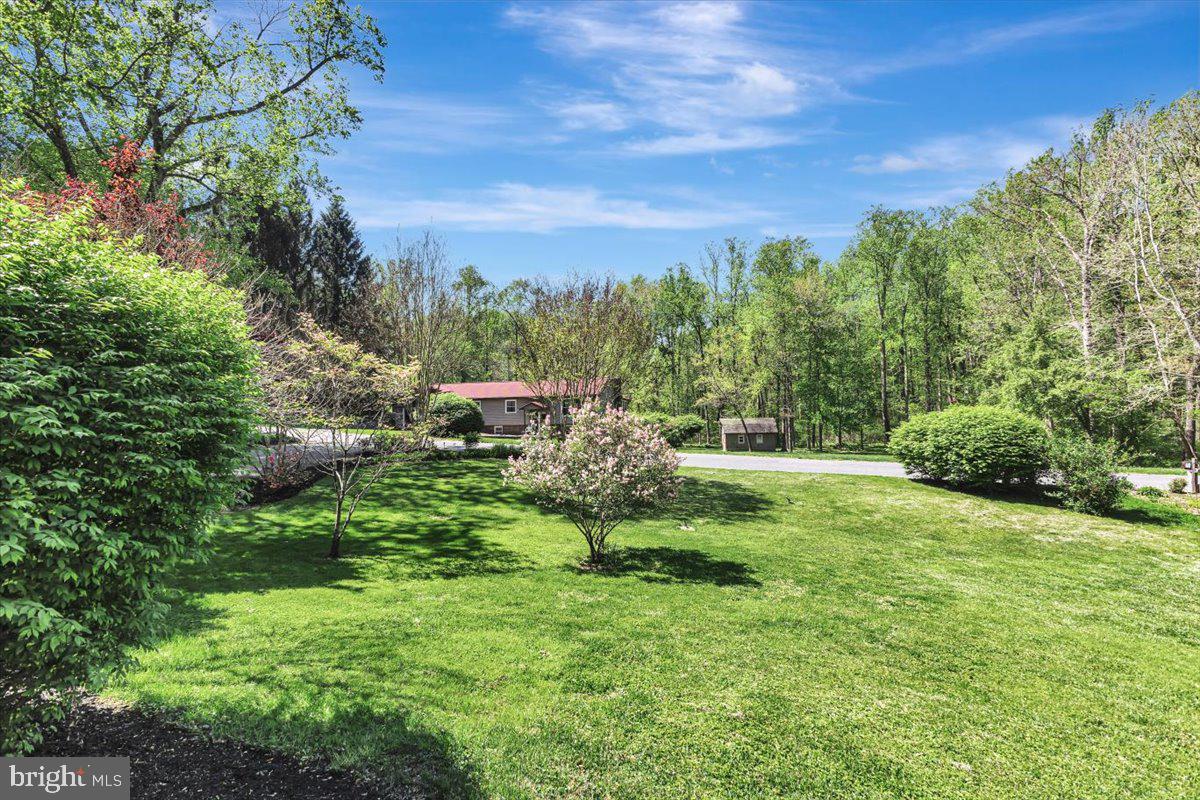 FREEDOM FOREST - Residential