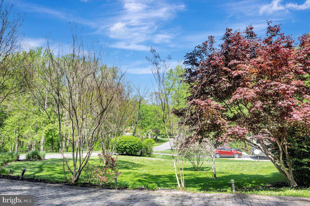 FREEDOM FOREST - Residential