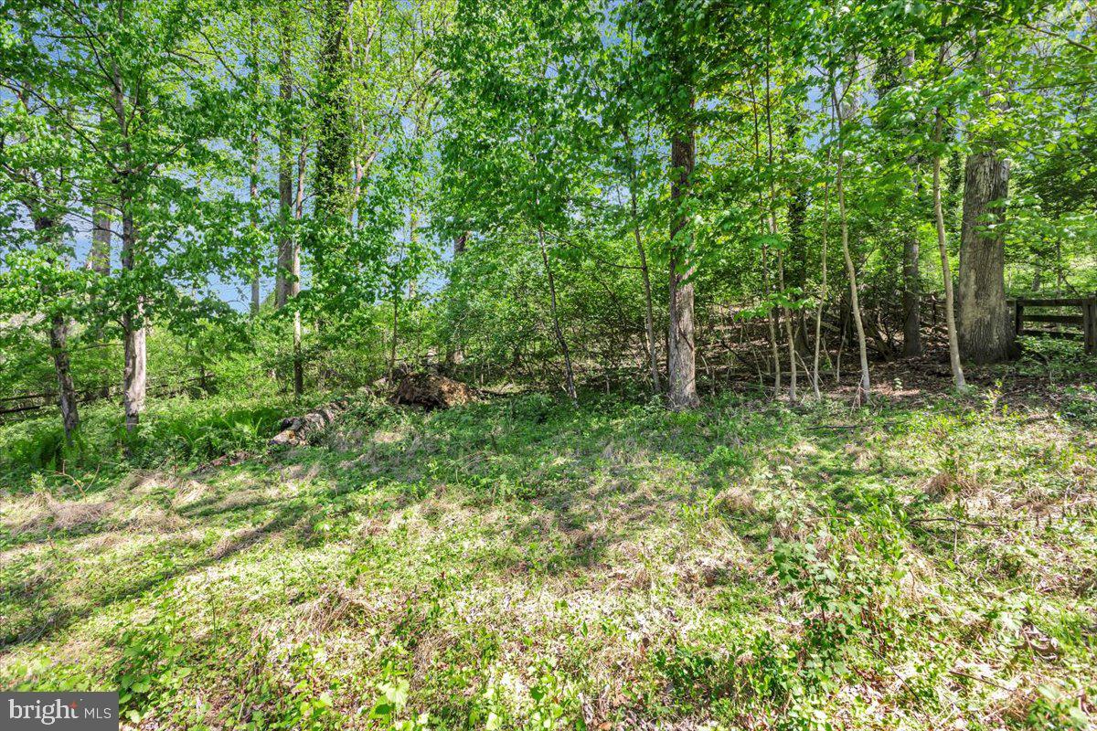 FREEDOM FOREST - Residential