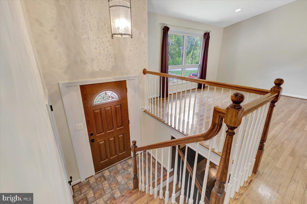 FREEDOM FOREST - Residential