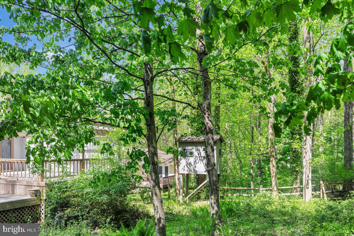 FREEDOM FOREST - Residential