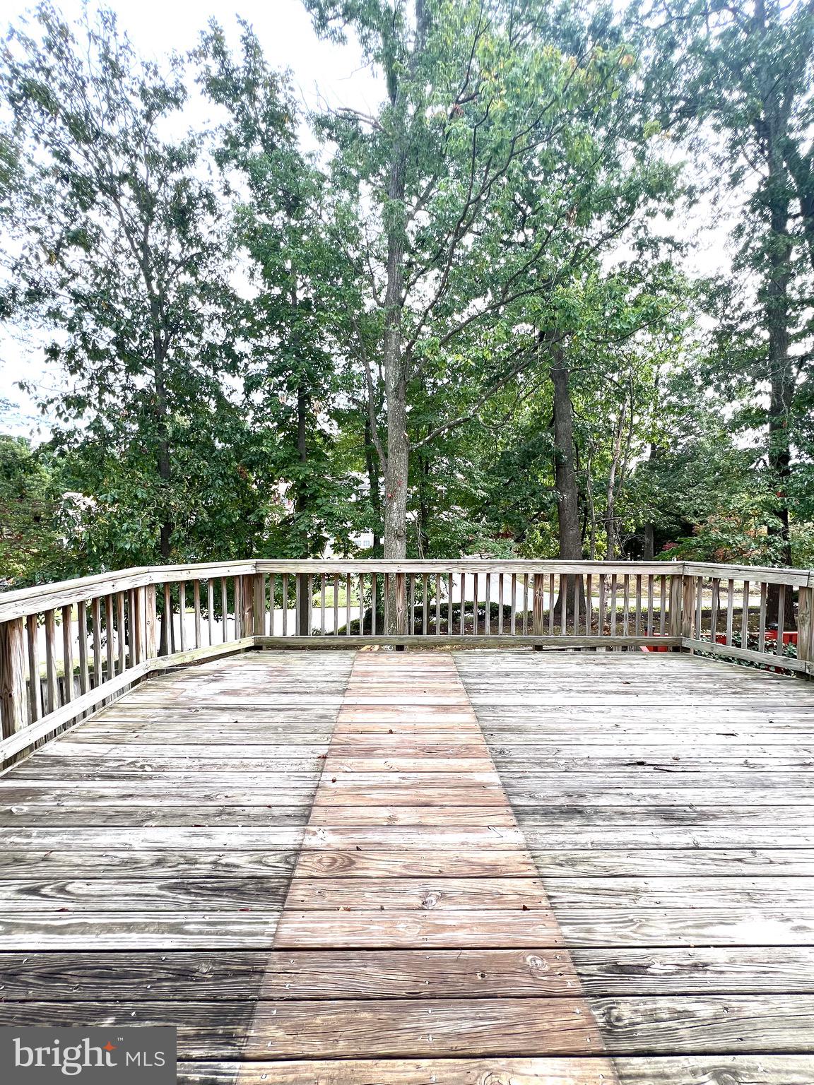 SENECA FOREST - Residential