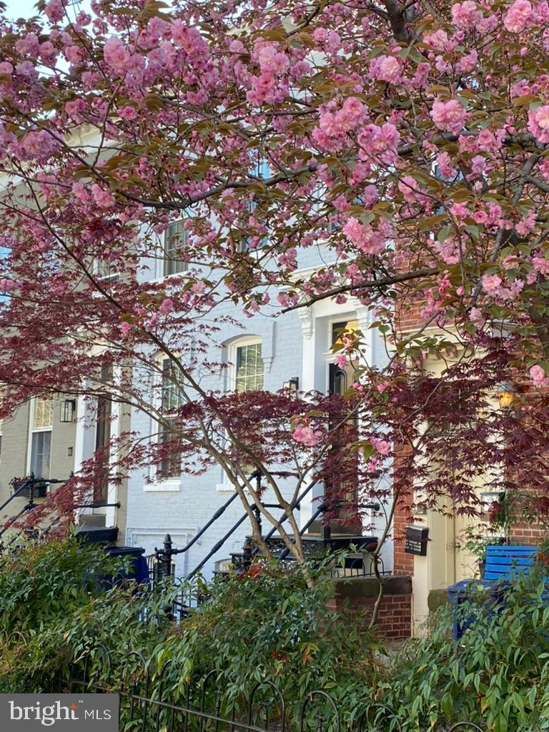 DUPONT - Residential Lease