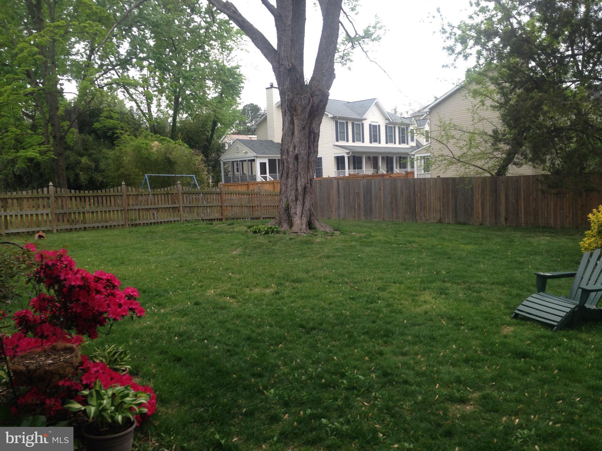 BALLSTON - Residential Lease