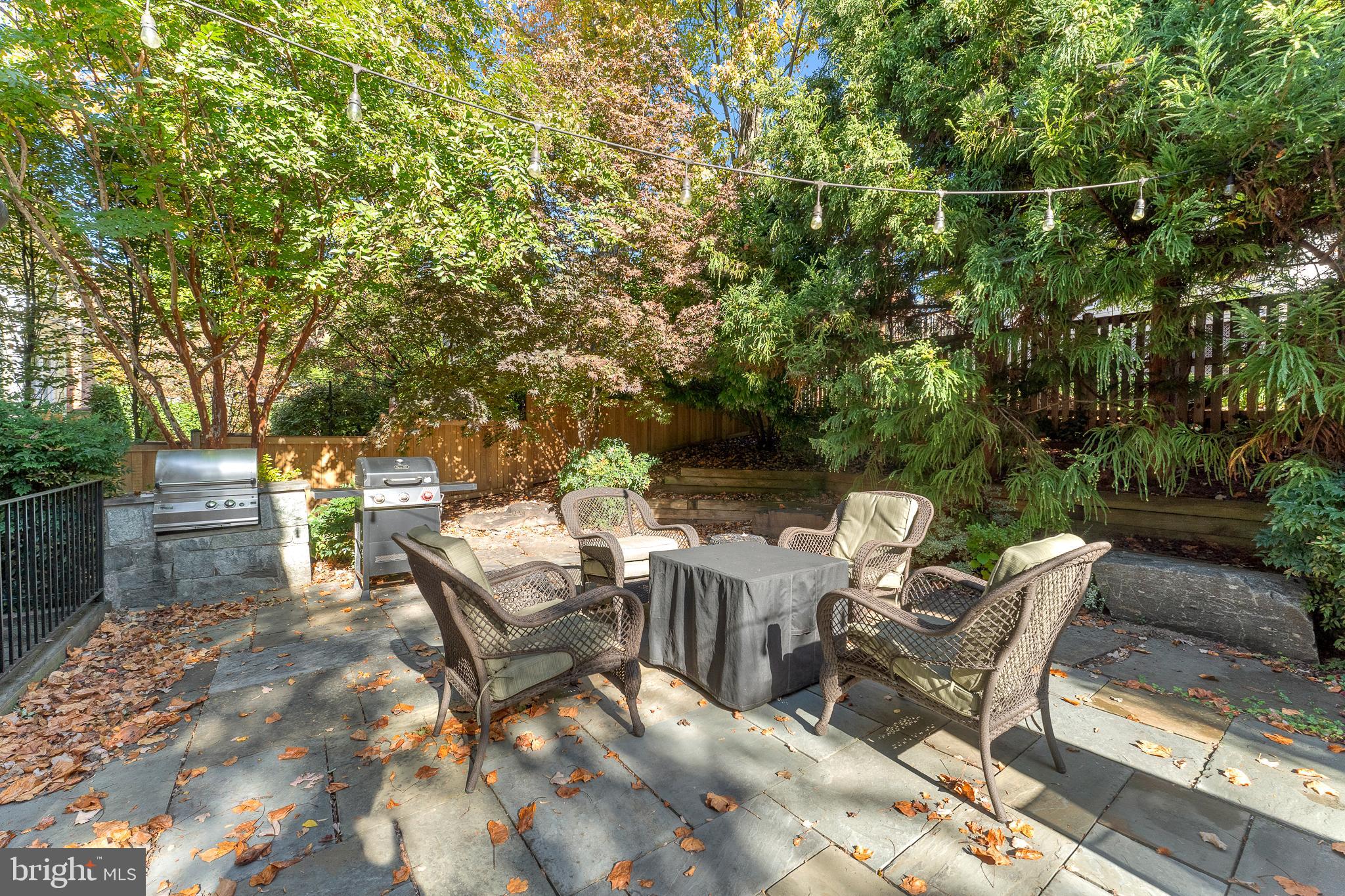 LACEY FOREST - Residential