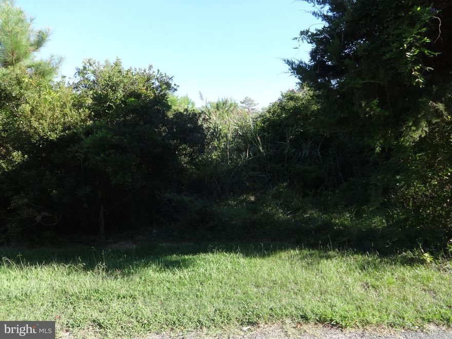 Owner Financing Available! 1-acre lot in the Lower Hill Area.  The lot is non-tidal wetlands. An environmental survey was completed.  You can purchase the two additional lots 0 & 7496 Lower Hill for a total cost of $10,000.00.