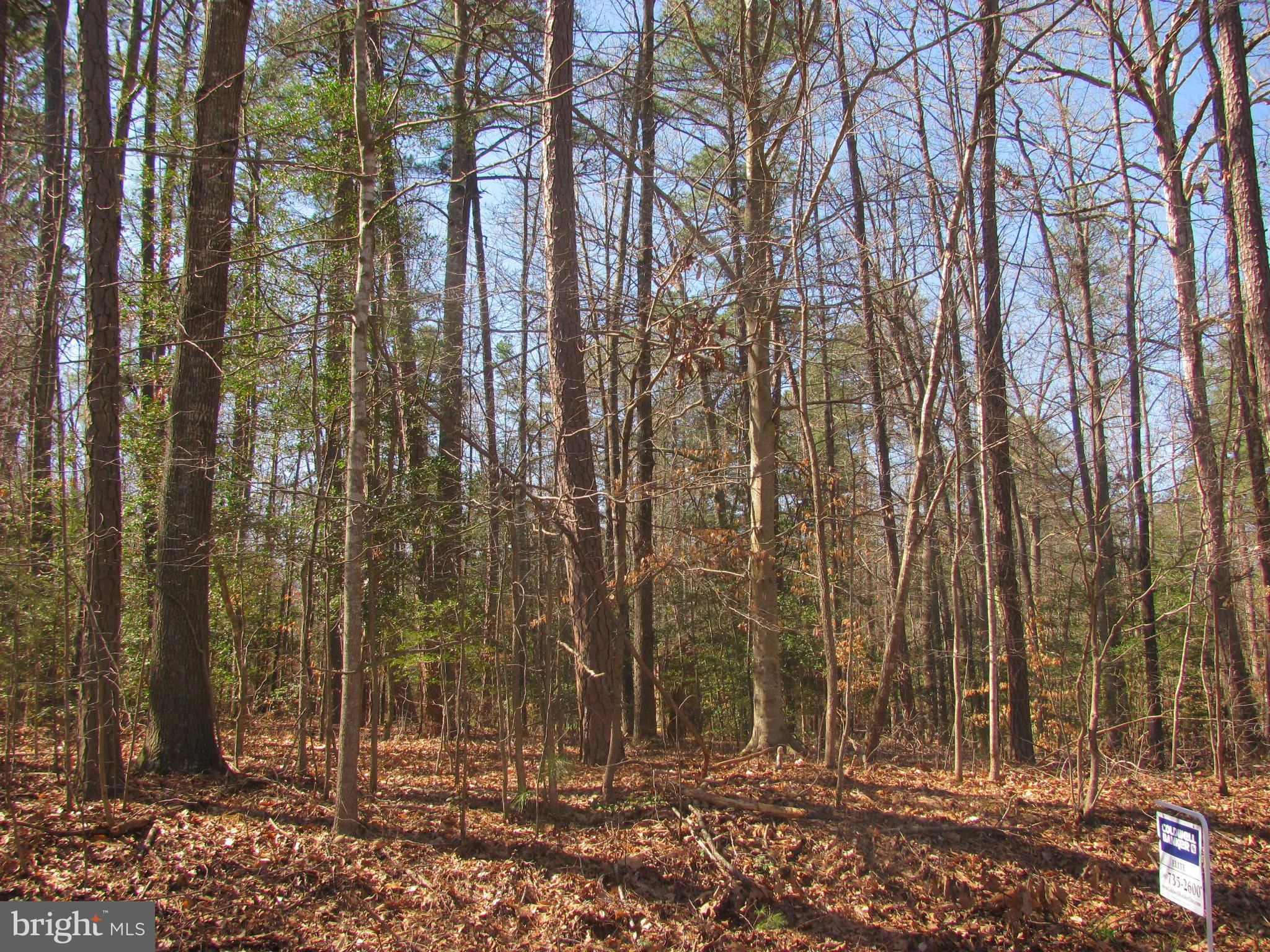 LAKE CAROLINE - Land