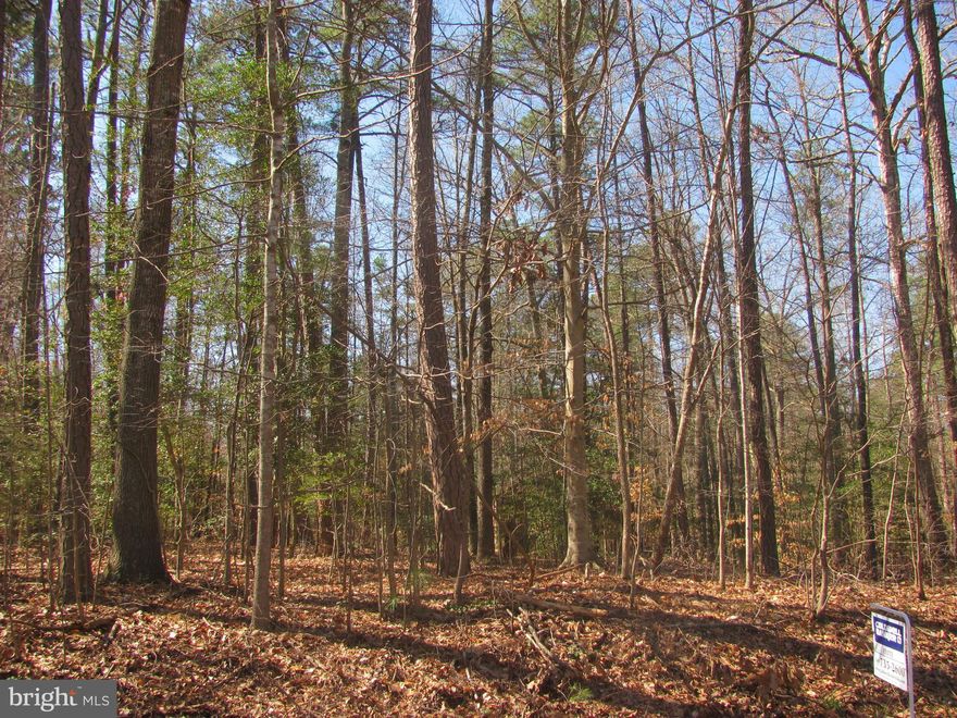 Build your home in this amenity filled lake community.  Located one house back from the lake, there is a short walk to the rec center and lake access.  Enjoy swimming, fishing, boating and camping while building your home or waiting to build.   Located centrally between DC and Richmond right off 95.