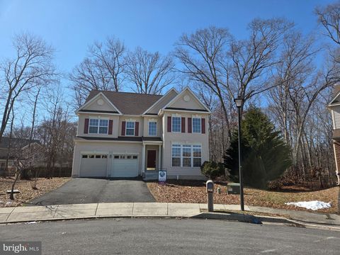 11 TANZANITE COURT DOVER DE 19904
