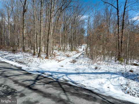 Tiny photo for Lot On Gypsy Camp Hollow Road, TYRONE, PA 16686 (MLS # PABR2015990)