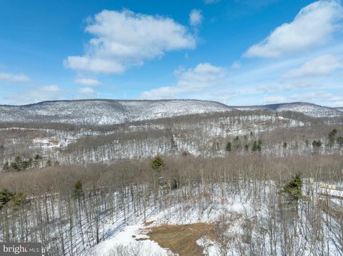 Tiny photo for Lot On Gypsy Camp Hollow Road, TYRONE, PA 16686 (MLS # PABR2015990)