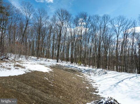 Tiny photo for Lot On Gypsy Camp Hollow Road, TYRONE, PA 16686 (MLS # PABR2015990)