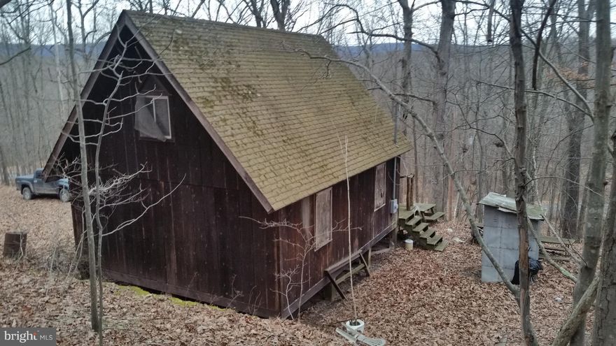 Diamond in the Ruff,  With a bit of hard work and TLC this mountain chalet, 1 bedroom and loft with electric and well already in place (no pump) would make an excellent weekend property, near the Potomac River and Sidling Mountain WMA. Sold As-Is, Come take a look today.