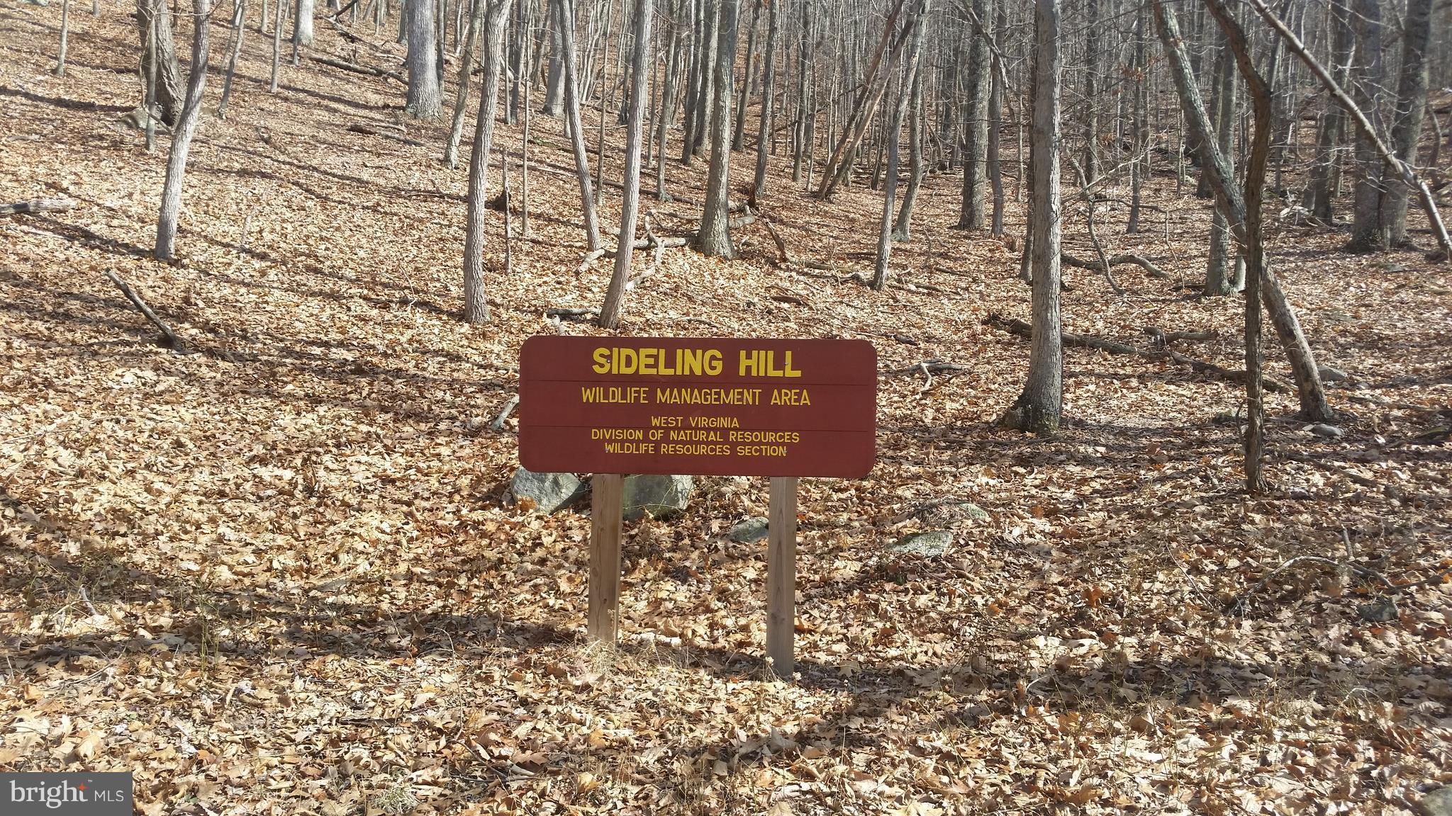 NONE AVAILABLE - Land