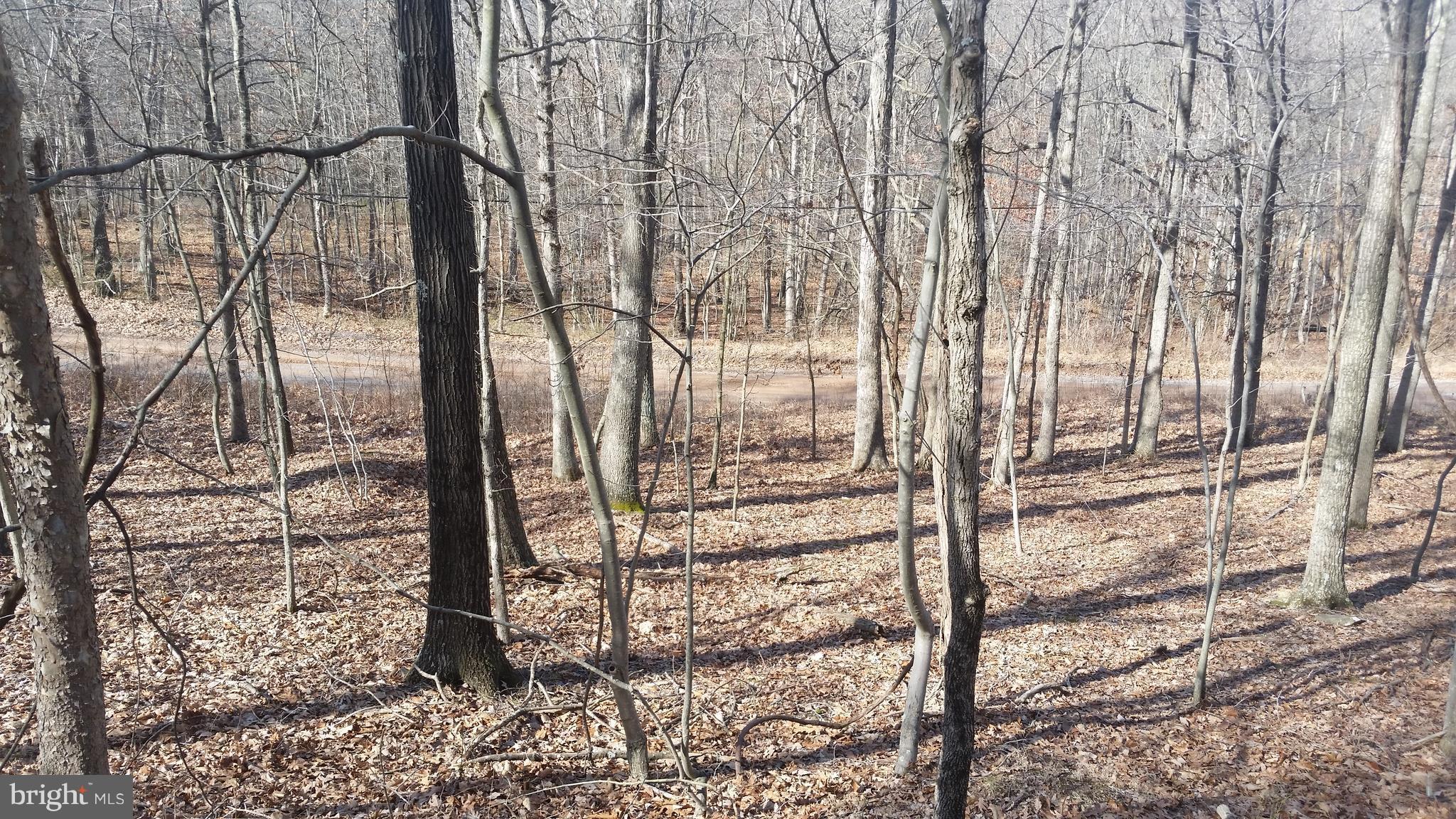 NONE AVAILABLE - Land