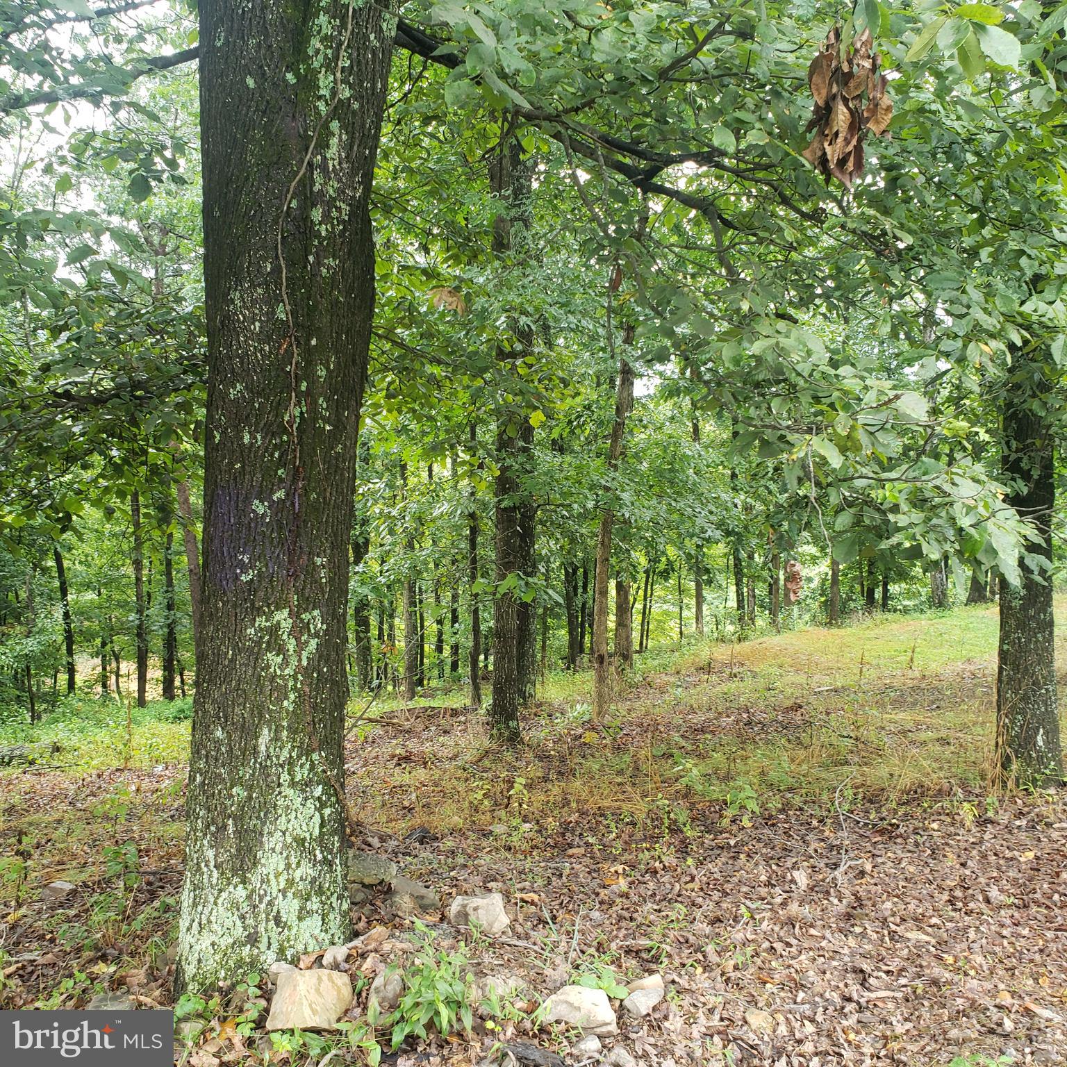 RIO GRANDE - Residential