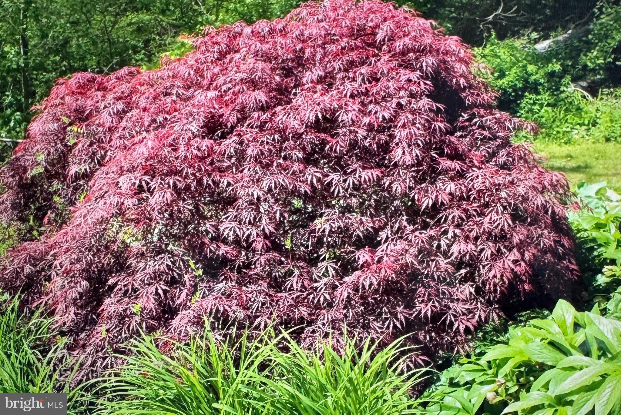 PAINTERS CROSSING - Residential