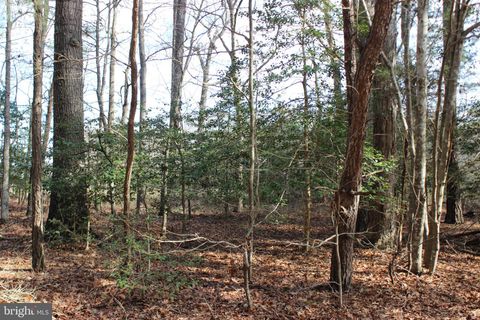 151 SHANGHAI ROAD GREENBACKVILLE VA 23356