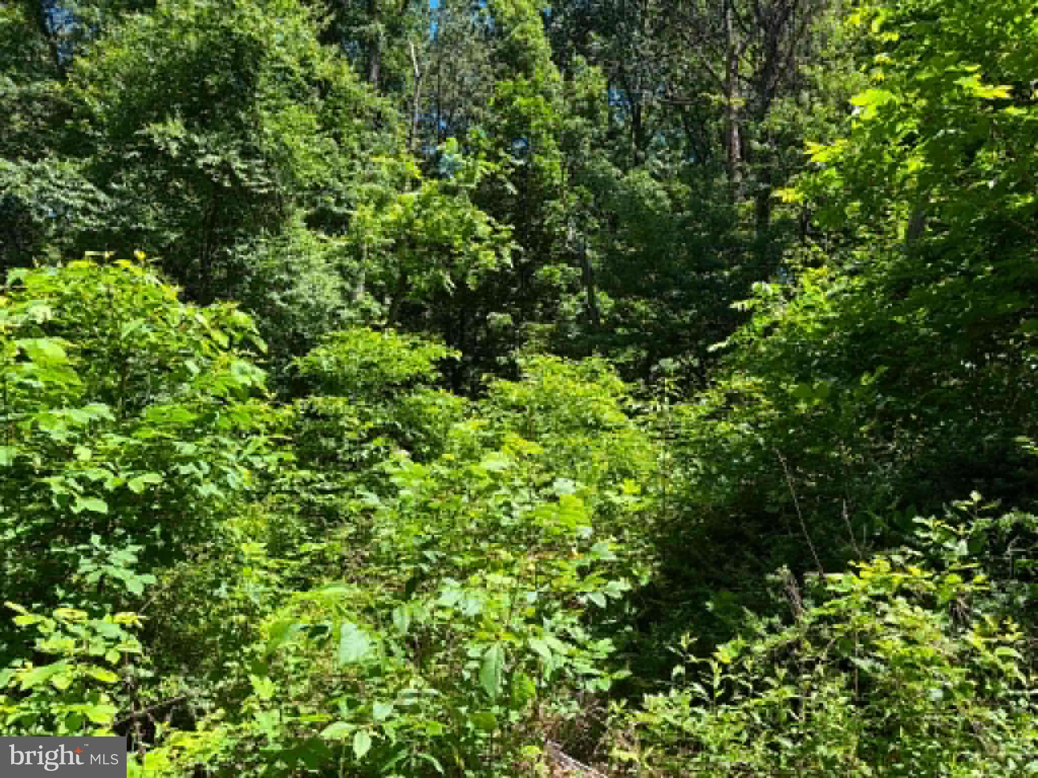 51 CABIN ROAD