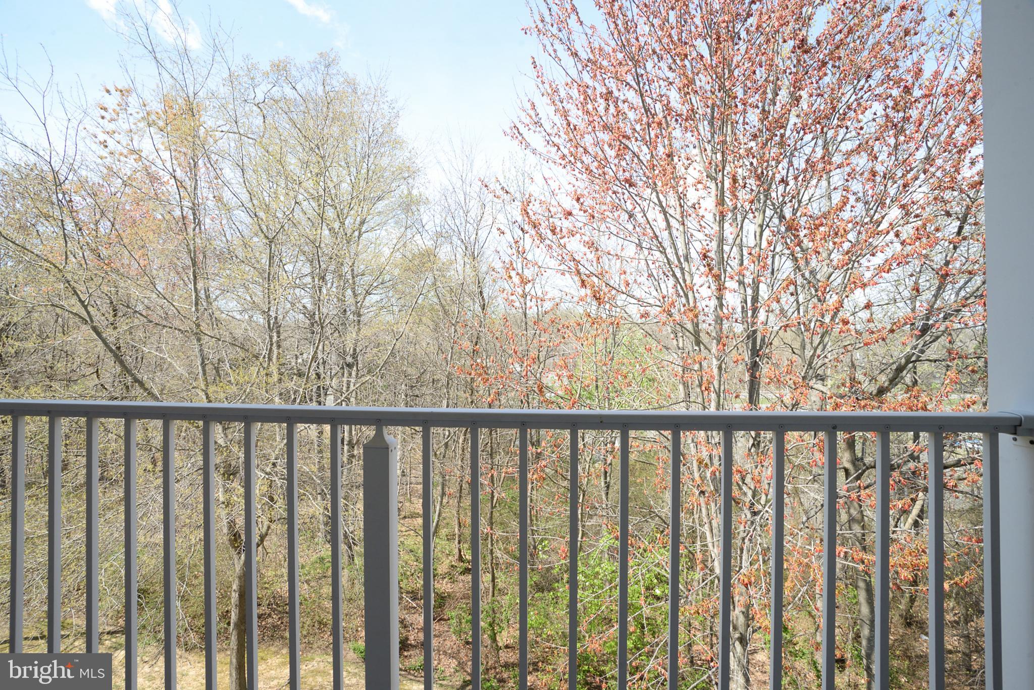 CAROL'S PLACE - Residential