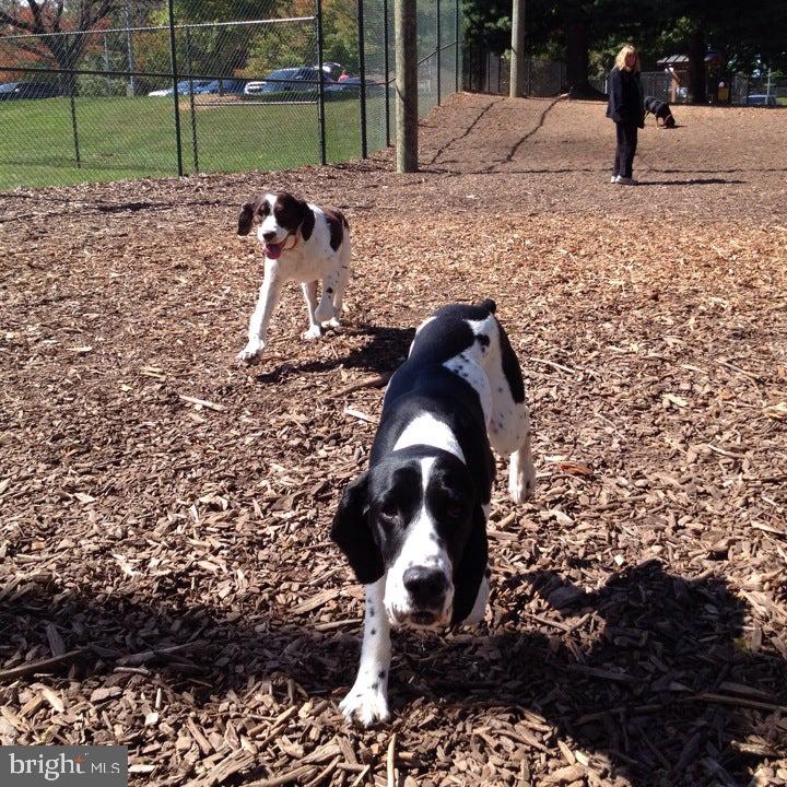 HALLOWELL - Residential