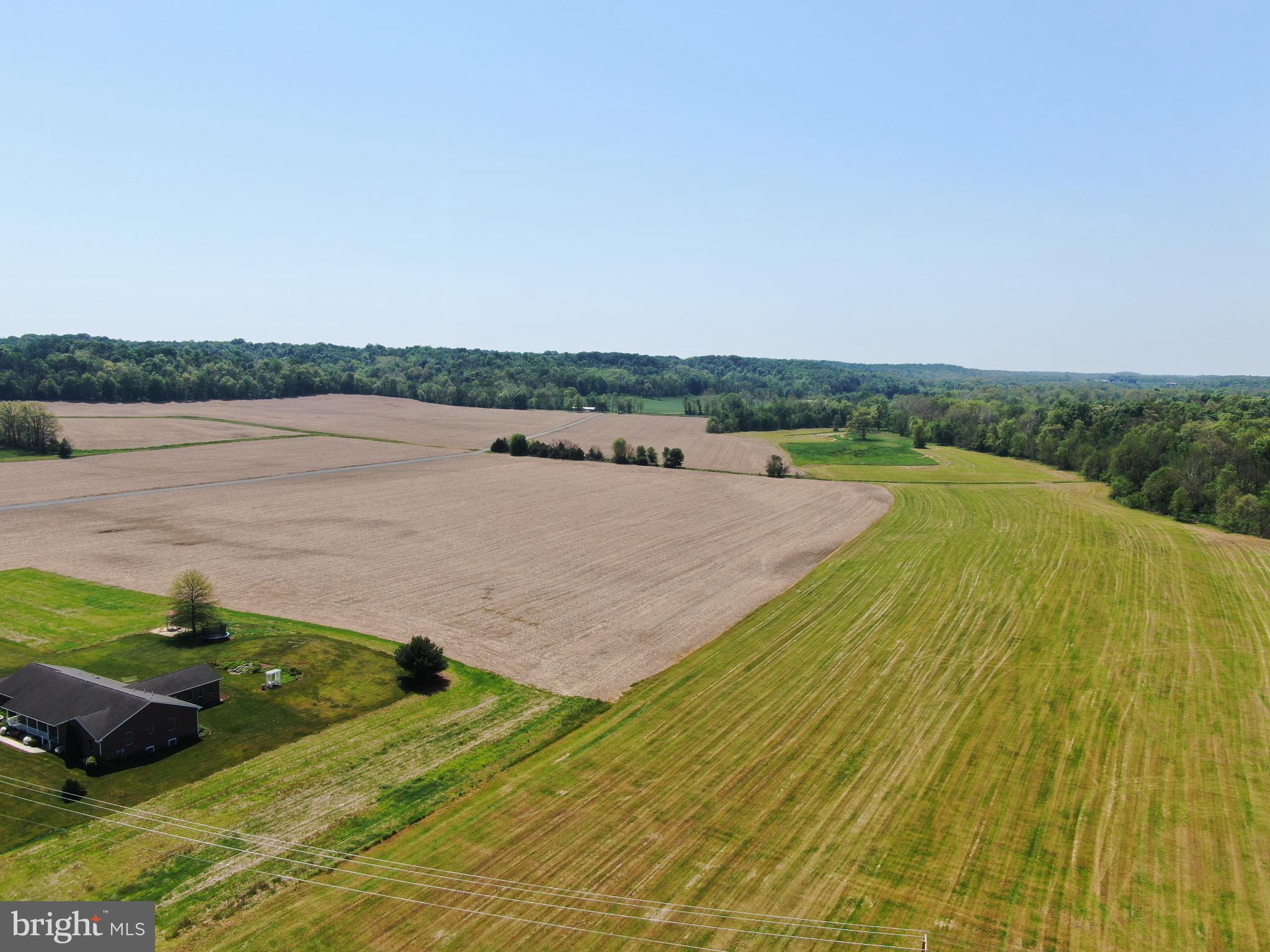 TRACT 2: 106.19+/- ACRES LEAFMORE ROAD