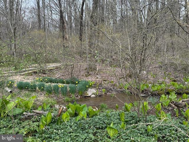 NOT IN DEVELOPEMENT - Residential