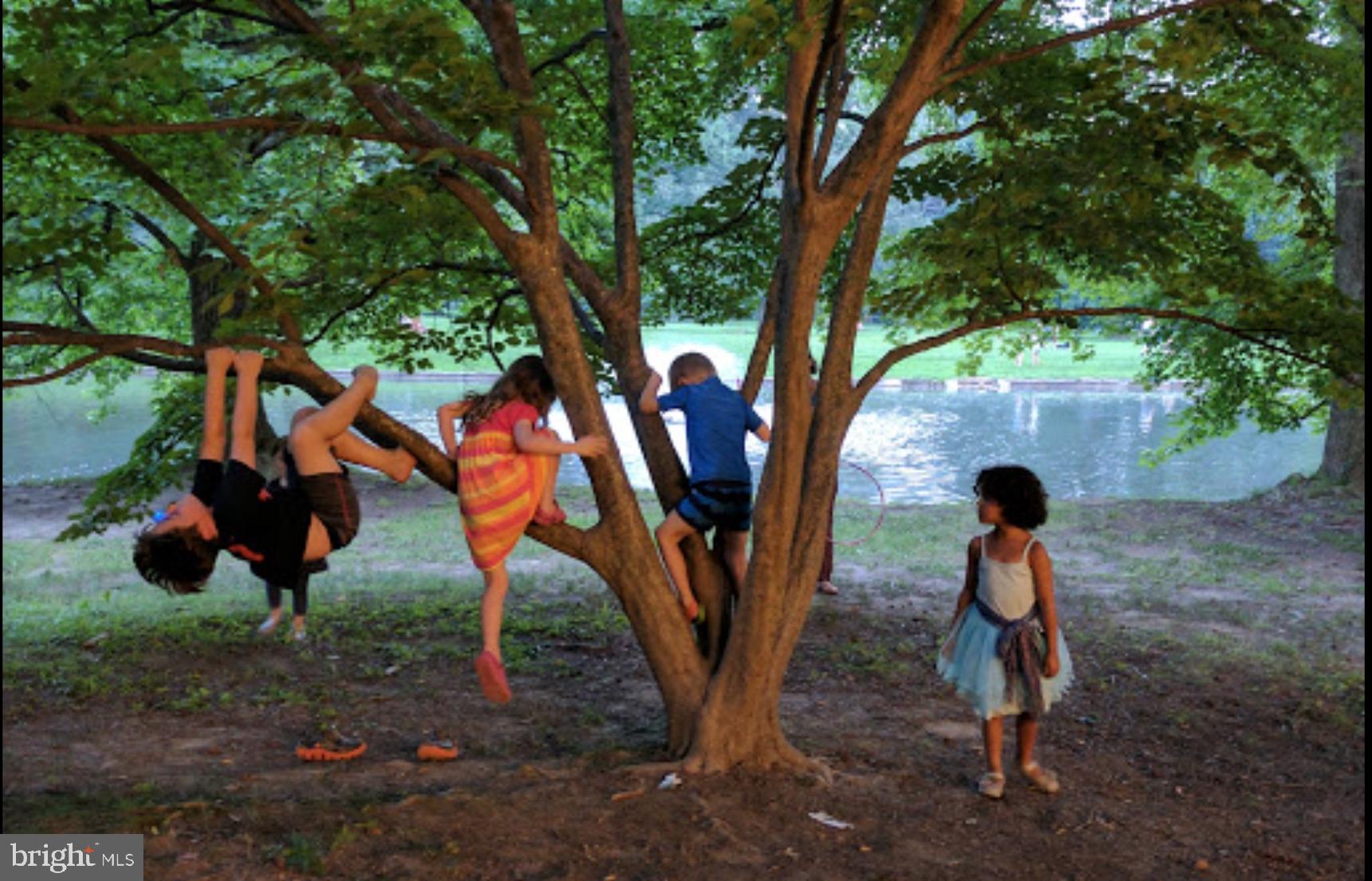 GERMANTOWN - Commercial Sale