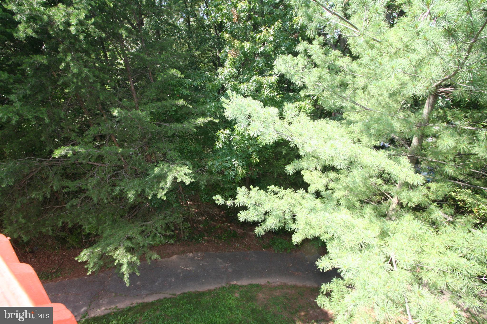 HAMLET WOODS - Residential Lease