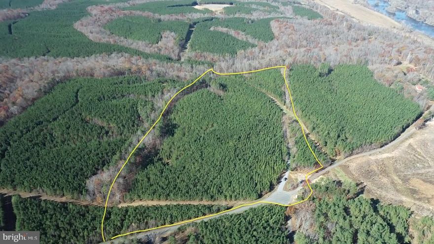Located on hardware rd just outside of Scottsville and Charlottesville this property sits conveniently from town while still having the feel of being in the countryside. The tract consists of planted loblolly pine, hardwood draw, creeks, and a newly mulched trail with a gated entrance and gravel driveway. This tract has been perced for a 4 bedroom conventional septic, and has no restrictions regarding building. If you are looking for acreage outside of charlottesville please consider giving this property a look. There are abundant wildlife to be found here including whitetail deee, turkey, and various forms of small game