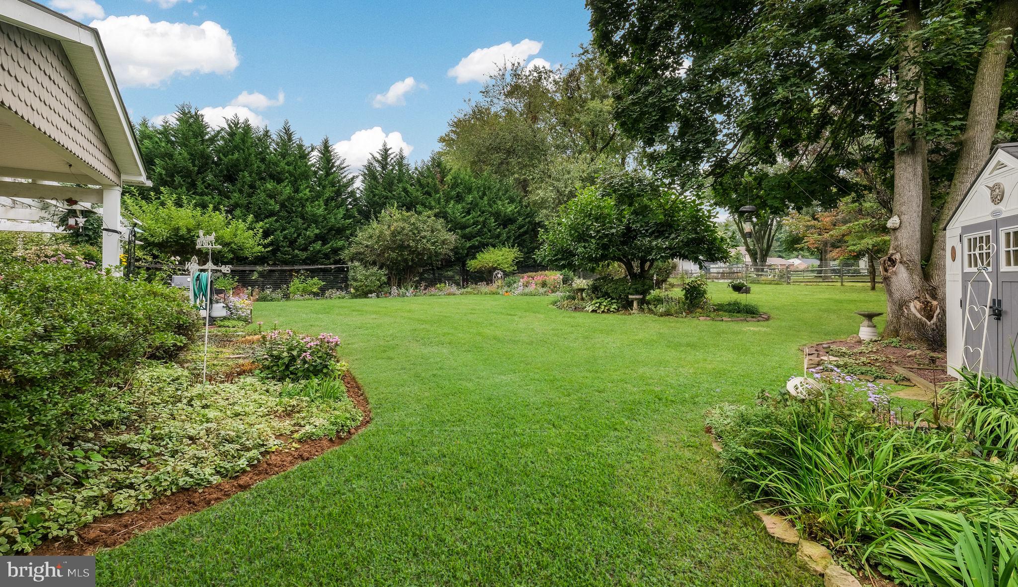 COLLEGE PARK - Residential