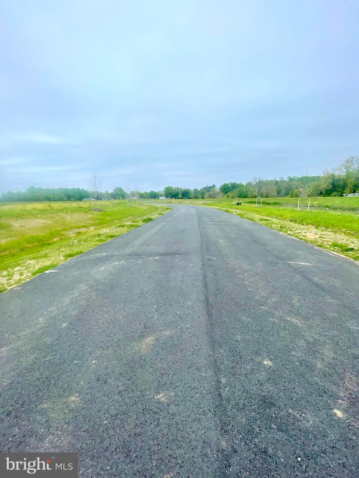6 YEARLING DRIVE