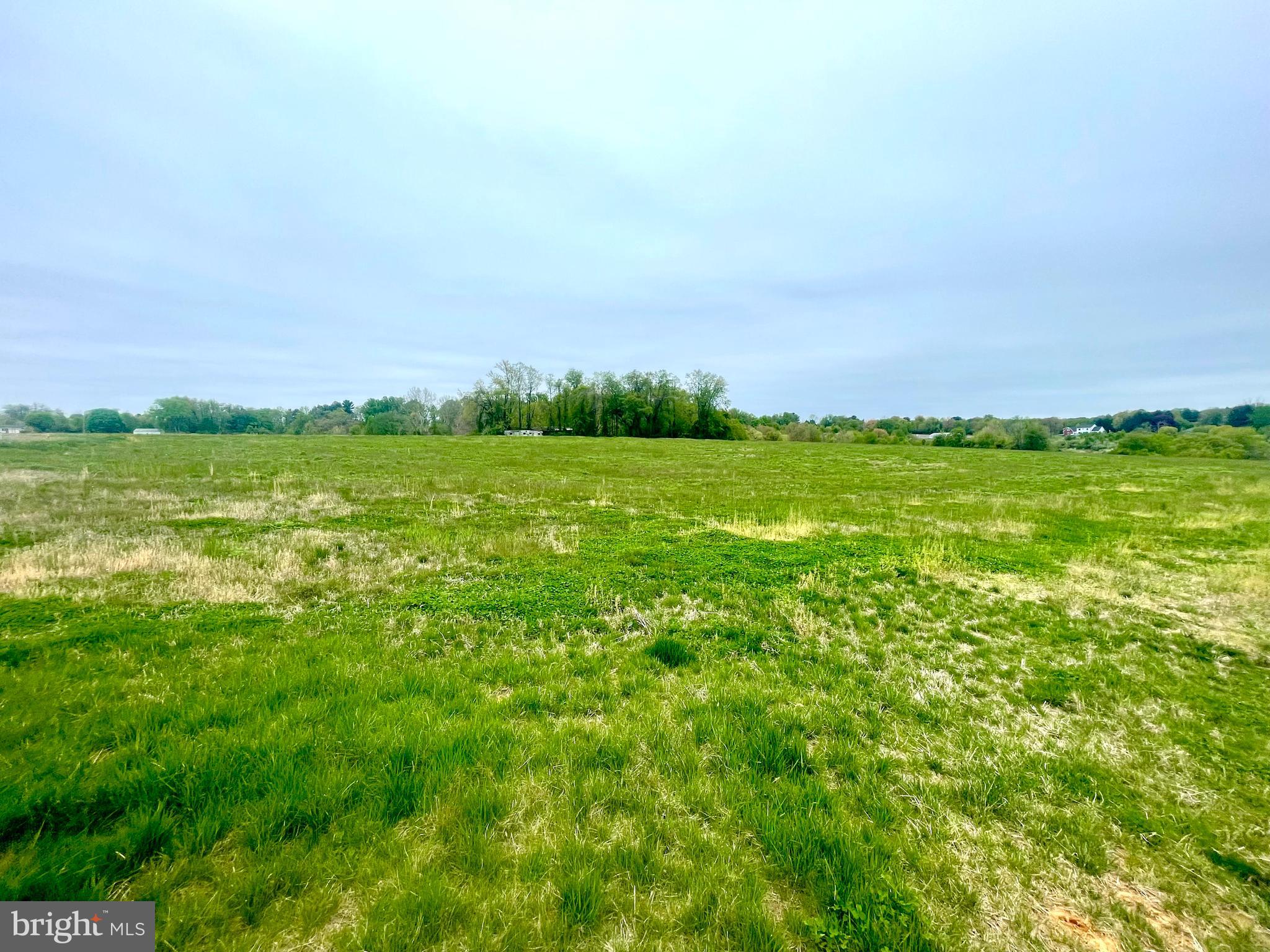 6 YEARLING DRIVE